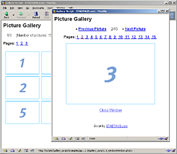 Window mode. The full-size images are displayed in a popup window.